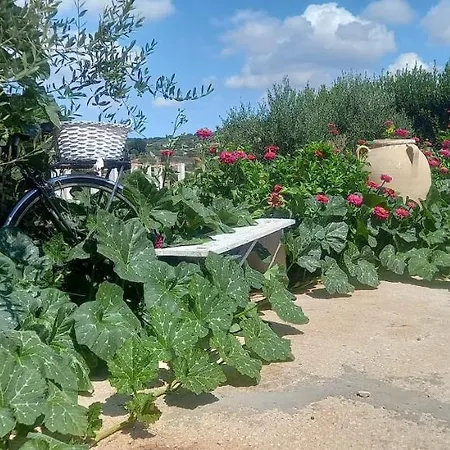 Casa Tra I Trulli