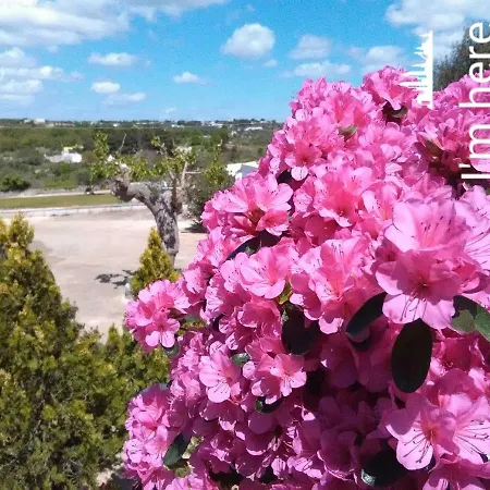 Tatil Evi Casa Tra I Trulli