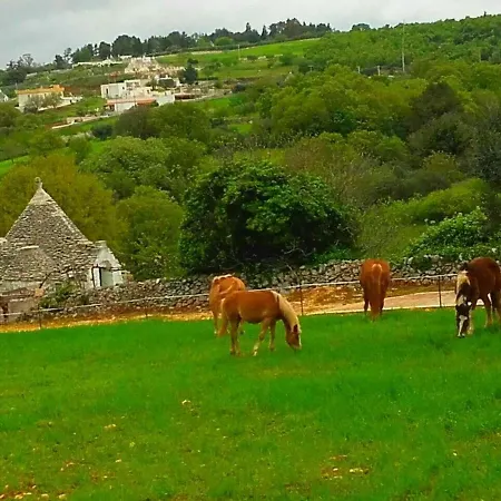 Casa Tra I Trulli Tatil Evi