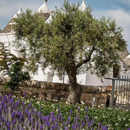 Casa Tra I Trulli Ferienhaus Martina Franca