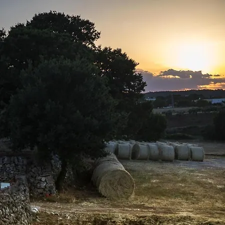 Casa Tra I Trulli Ferienhaus Martina Franca