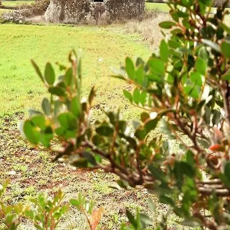 Ferienhaus Casa Tra I Trulli Martina Franca